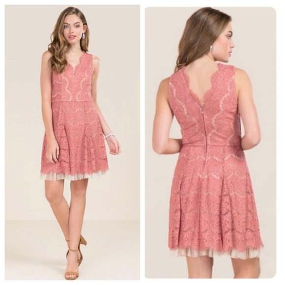 Francesca's Collections Dresses & Skirts - Francesca’s Kyleigh Scallop Neck Lace A-line Dress